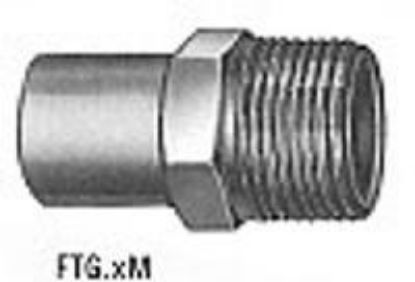 Picture of 3/4" Copper-Fitting Male-Adapter Ftg X M