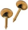 Picture of Upholstery-Nail Brass
