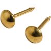 Picture of Upholstery-Nail Brass
