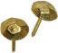 Picture of Upholstery Nails Brass Hammer Head