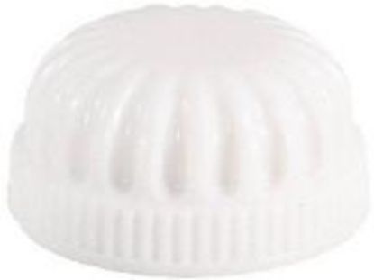 Picture of White Plastic Lockup Cap