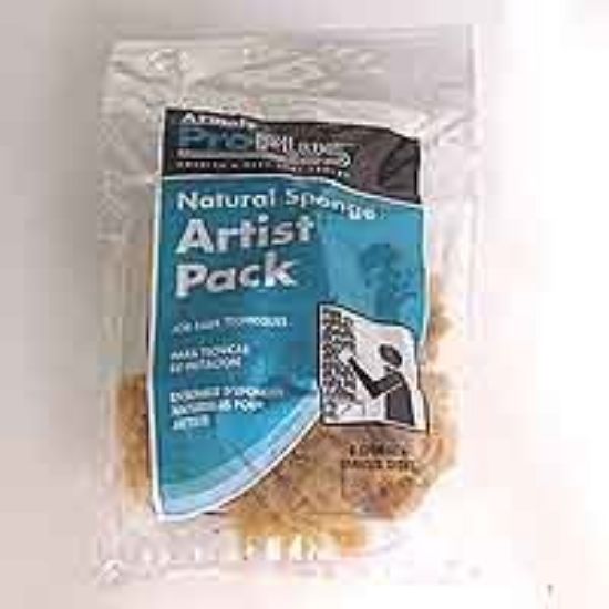 Picture of Artist-Sponge