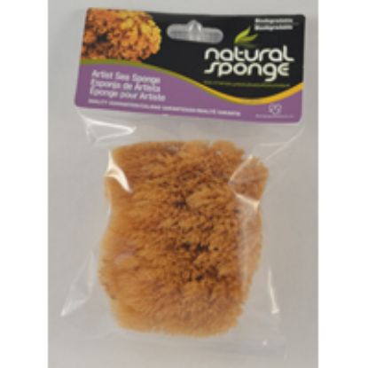 Picture of Painting-Sponge Fine 4"- 5"