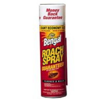 Picture of Insecticide Roach-spray