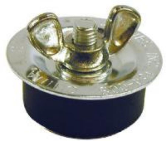 Picture of Test-Plug 1-1/2"