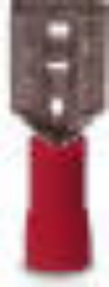 Picture of Male Wire-Terminal