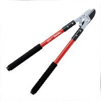 Picture of Compound-Action Anvil Lopper