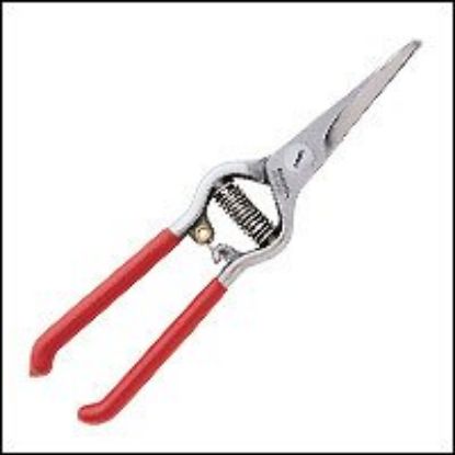 Picture of Thinning-Shear