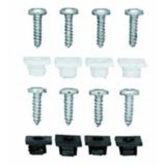 Picture of License-Plate Fasteners