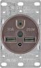 Picture of Flush Power Electrical-Outlet Brown 30-Amp