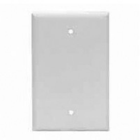 Picture of Wall-Plate Blank