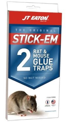 Picture of Glue-Trap Rat-&-mouse