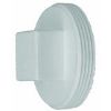 Picture of Drain-Waste-Vent Pvc Schedule-40 Mpt Plug 4"
