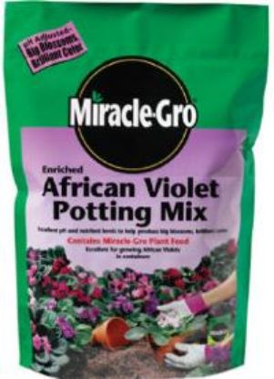 Picture of Potting-soil African-violet