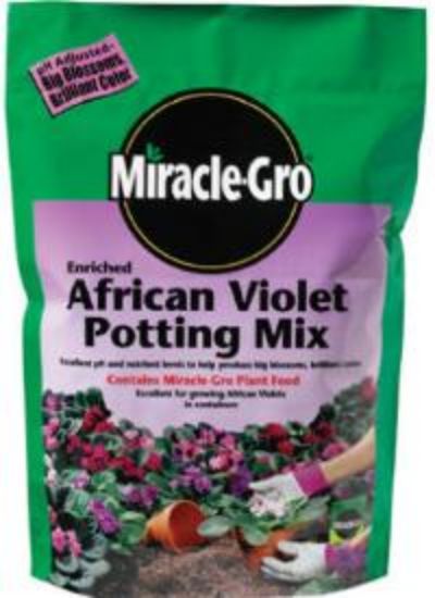 Picture of Potting-soil African-violet