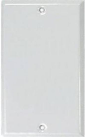 Picture of Wall-Plate Blank