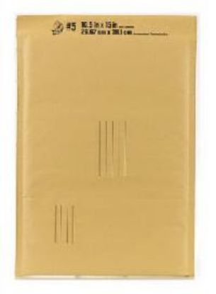 Picture of 10-1/2 x 15 Pad Envelope