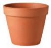 Picture of Plant-Pot Terra-Cotta Standard 12"