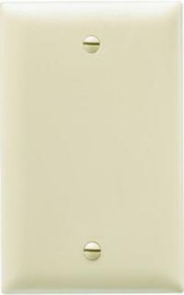 Picture of Blank Wall-Plate