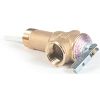 Picture of 2-1/2" T&P Relief-Valve