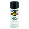 Picture of Enamel-Paint Spray-Paint Paint Black