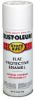 Picture of Enamel-Paint Spray-Paint White
