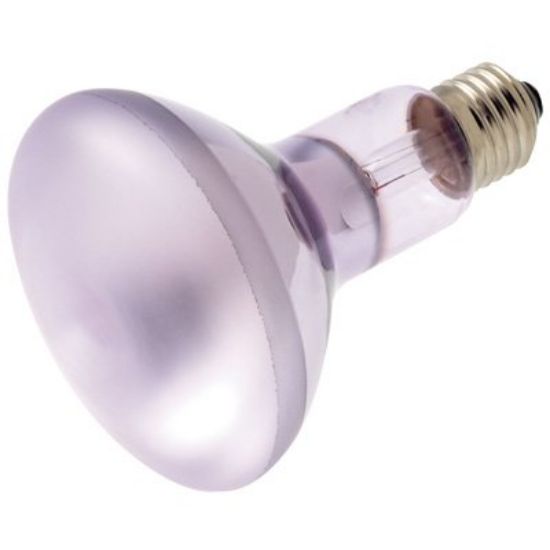 Picture of Light-Bulb R-30 Full-Spectrum