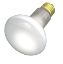 Picture of Light-Bulb R-20