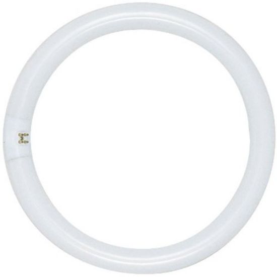 Picture of Light-Bulb FC16T9/CW 16"-40W
