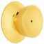 Picture of Bright-Brass Privacy-Lock