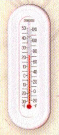 Picture of Weather-Thermometer Liquid-Type Indoor-&-Outdoor 6-3/4" x 2-1/4"