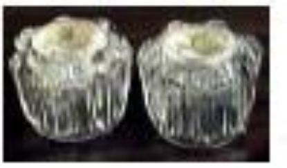 Picture of Acrylic To Fit Delex/Peerless D Broach