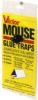 Picture of Mouse-Trap Glue-Trap