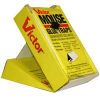 Picture of Mouse-Trap Glue-Trap