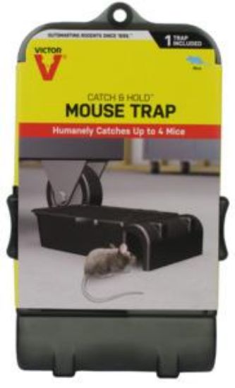 Picture of Mouse-trap Live-capture