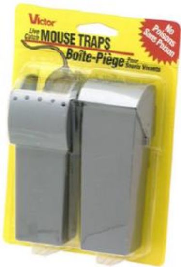 Picture of Mouse-Trap