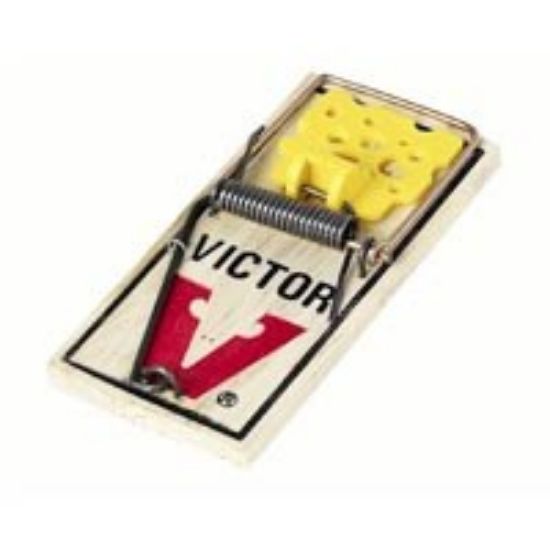 Picture of Mouse-Trap Easy Set