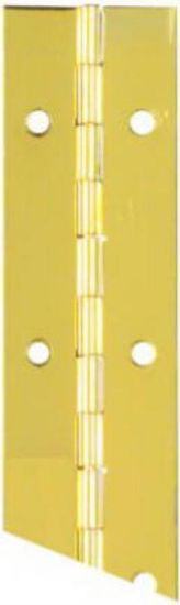 Picture of Continuous-Hinge Bright Brass 1-1/2" x 12"