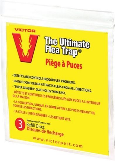 Picture of Flea-trap Refill