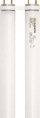 Picture of FBO31841 U Fluorescent T-8 31W 1-5/8" Leg 22.5" Length