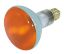 Picture of Light-Bulb BR-30 Reflector Amber