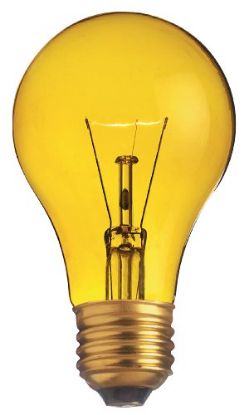 Picture of Light-Bulb A-19 Transparent Yellow