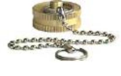 Picture of Hose-Cap with Chain Brass