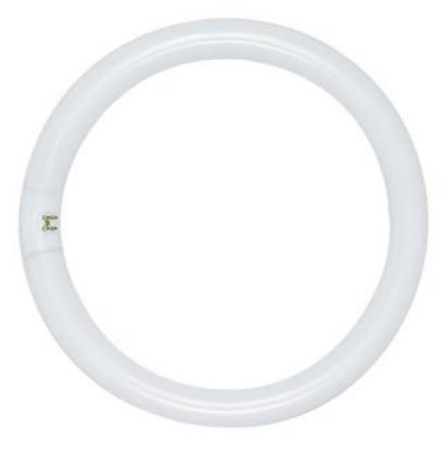 Picture of Light-bulb Circline Fc8t9/cw 8" Cool-white