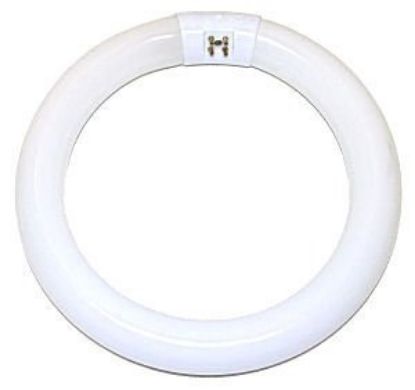 Picture of Light-Bulb Circline Fc12t9/d 12"