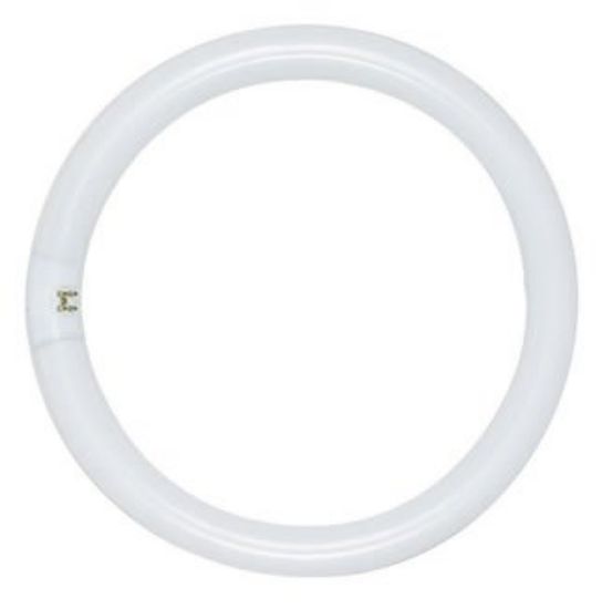 Picture of Light-Bulb Circline Fc12t9/ww T-9 12"-diameter