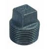 Picture of 1-1/4" Cast-Iron Cored-Plug Square-Head