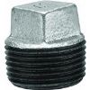 Picture of 1/2" Galvanized Steel Cored-Plug Square-Head