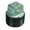 Picture of Galvanized Steel Cored-Plug Square-Head 1"