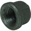 Picture of Pipe-Cap 1/4"